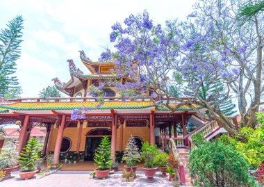 Da Lat, Vietnam - 11 Nisan 2023: Dalat, Vietnam 'daki evin bahçesinde Jacaranda ağacı çiçek açma mevsimi