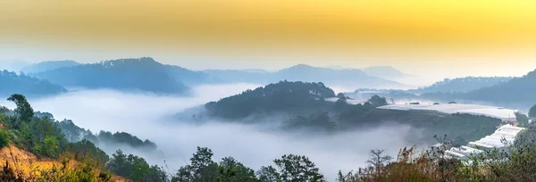 Paysage Matinal Dans Vallée Avec Brouillard Couvert Lever Soleil Est — Photo