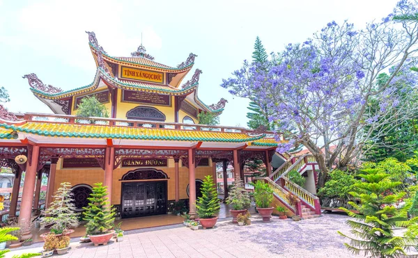 베트남 2023년 11일 베트남 달랏의 정원에서 야카란다 — 스톡 사진