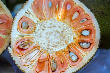 Markette satılık Jackfruit, Vietnam meyveleri, tatlı ve besleyici meyveler