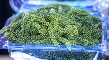 Bir tabak deniz üzümü, Okinawa, Japonya 'da çok sevilen çok sağlıklı bir lezzet..