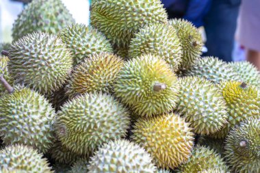 Durian meyveleri pazarda satılıyor, Vietnam meyveleri, Cai Lay bölgesinden, Tien Giang