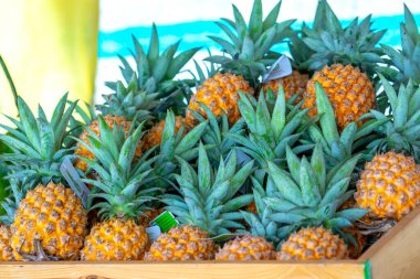 Markette satılık ananas meyveleri, Vietnam meyveleri, Huynh Luu bölgesinden, Nghe An