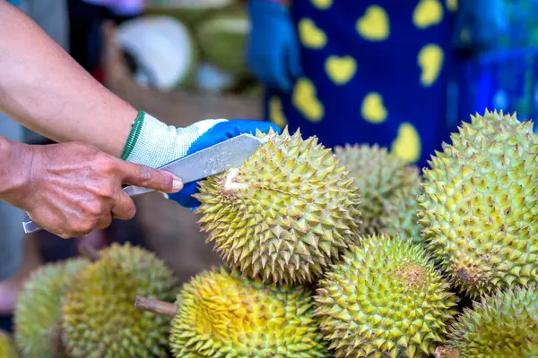 Durian meyveleri pazarda satılıyor, Vietnam meyveleri, Cai Lay bölgesinden, Tien Giang
