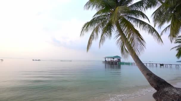 Пляж Пальмами Красивом Песчаном Пляже Острове Пху Куок Вьетнам Закатное — стоковое видео