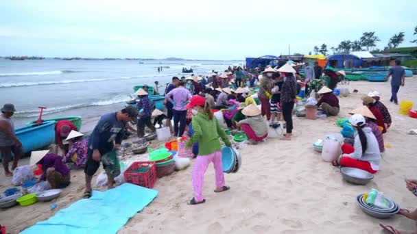Mui Vietnam Luglio 2022 Mui Mercato Del Pesce Mattino Villaggio — Video Stock