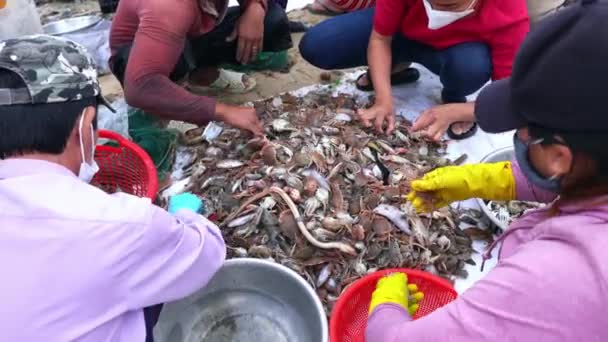 Mui Vietnam Julio 2022 Mui Mercado Pescado Por Mañana Pueblo — Vídeos de Stock