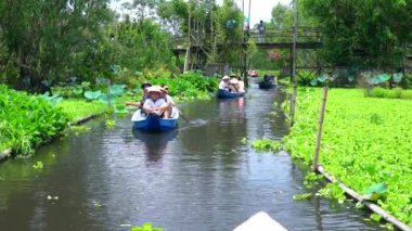 An Giang, Vietnam - 3 Eylül 2022: Kayıkçı, Mangrove ormanlarındaki kanallar boyunca bir tekne turuna çıkar. Burası An Giang, Vietnam 'daki Mekong Delta' da bir eko turizm alanı.