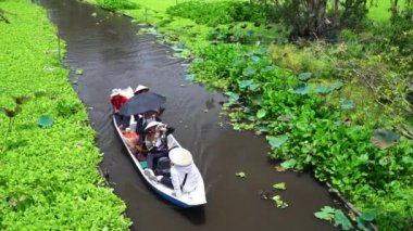An Giang, Vietnam - 3 Eylül 2022: Kayıkçı, Mangrove ormanlarındaki kanallar boyunca bir tekne turuna çıkar. Burası An Giang, Vietnam 'daki Mekong Delta' da bir eko turizm alanı.
