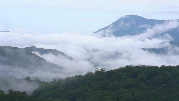 Nevoeiro Mar Uma Montanha Manhã Ondas Nuvens Nos Picos Fundo — Vídeo de Stock