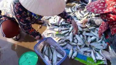 Phan Thiet, Vietnam - 10 Aralık 2022: Balık pazarı deniz manzarası insanları sepet balık satışında bir araya geldi, yorgun kürek çeken balıkçılar Phan Thiet, Vietnam 'da bir balıkçı köyü getirdiler