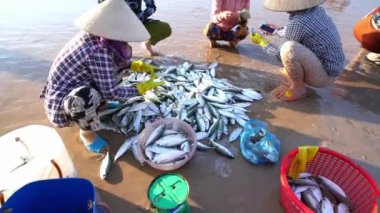 Phan Thiet, Vietnam - 10 Aralık 2022: Balık pazarı deniz manzarası insanları sepet balık satışında bir araya geldi, yorgun kürek çeken balıkçılar Phan Thiet, Vietnam 'da bir balıkçı köyü getirdiler