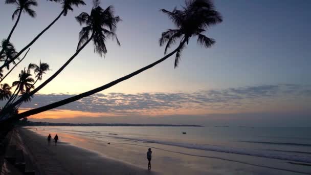 Phan Thiet Vietnam Daki Mui Körfezi Nin Doğal Deniz Manzarası — Stok video