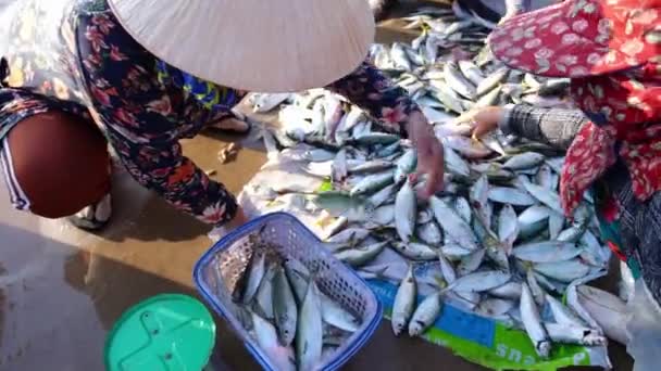 Phan Thiet Vietnam December 2022 Fiskmarknad Session Hav Scen Människor — Stockvideo