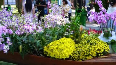 Ho Chi Minh Şehri, Vietnam - 22 Ocak 2023: Tao Dan Parkı 'ndaki festival sahnesi bahar sabahı Ho Chi Minh City, Vietnam' da ziyaretçileri cezbediyor.