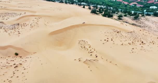 Stark Contraste Geográfico Entre Arena Agua Cerca Mui Vietnam Desierto — Vídeo de stock