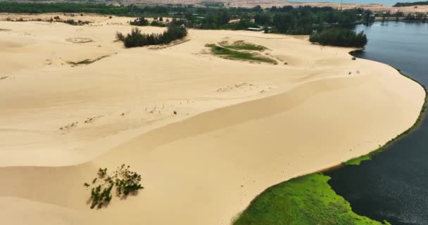 Stark Contraste Geográfico Entre Arena Agua Cerca Mui Vietnam Desierto — Vídeos de Stock