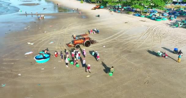 ベトナム ムイニー 2023年11月29日 上から見た水魚市場 ベトナム中央部の州のために魚介類を購入し販売する沿岸漁村の朝市 — ストック動画