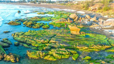 Amazing of rock and moss at Co Thach beach,Tuy Phong, Binh Thuan province, Vietnam, Seascape of Vietnam Strange rocks. clipart