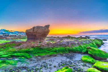 Gün doğumunda, Binh Thuan vilayetinde ünlü bir plaj olan Co Thach sahilinde yosun ve çakıl taşlarıyla kayalık sahilin manzarası. Orta Vietnam.
