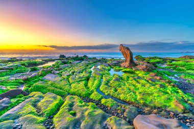Gün doğumunda, Binh Thuan vilayetinde ünlü bir plaj olan Co Thach sahilinde yosun ve çakıl taşlarıyla kayalık sahilin manzarası. Orta Vietnam.