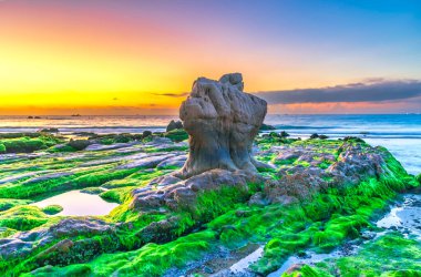 Gün doğumunda, Binh Thuan vilayetinde ünlü bir plaj olan Co Thach sahilinde yosun ve çakıl taşlarıyla kayalık sahilin manzarası. Orta Vietnam.