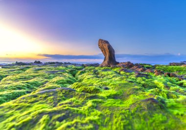 Landscape of rocky beach at sunrise with moss and pebbles on Co Thach beach, a famous beach in Binh Thuan province, central Vietnam clipart