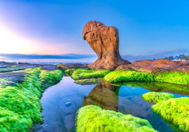 Gün doğumunda, Binh Thuan vilayetinde ünlü bir plaj olan Co Thach sahilinde yosun ve çakıl taşlarıyla kayalık sahilin manzarası. Orta Vietnam.