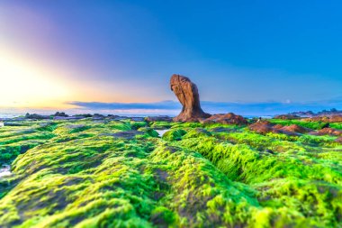 Gün doğumunda, Binh Thuan vilayetinde ünlü bir plaj olan Co Thach sahilinde yosun ve çakıl taşlarıyla kayalık sahilin manzarası. Orta Vietnam.
