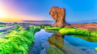 Gün doğumunda, Binh Thuan vilayetinde ünlü bir plaj olan Co Thach sahilinde yosun ve çakıl taşlarıyla kayalık sahilin manzarası. Orta Vietnam.