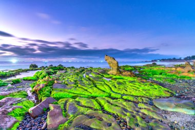 Landscape of rocky beach at sunrise with moss and pebbles on Co Thach beach, a famous beach in Binh Thuan province, central Vietnam clipart
