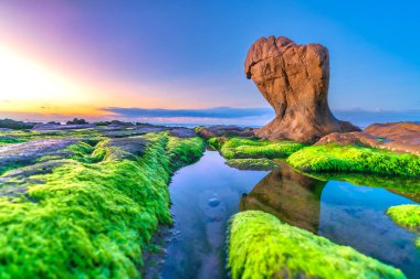 Gün doğumunda, Binh Thuan vilayetinde ünlü bir plaj olan Co Thach sahilinde yosun ve çakıl taşlarıyla kayalık sahilin manzarası. Orta Vietnam.