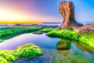 Gün doğumunda, Binh Thuan vilayetinde ünlü bir plaj olan Co Thach sahilinde yosun ve çakıl taşlarıyla kayalık sahilin manzarası. Orta Vietnam.