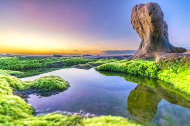 Gün doğumunda, Binh Thuan vilayetinde ünlü bir plaj olan Co Thach sahilinde yosun ve çakıl taşlarıyla kayalık sahilin manzarası. Orta Vietnam.