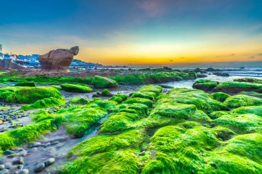Gün doğumunda, Binh Thuan vilayetinde ünlü bir plaj olan Co Thach sahilinde yosun ve çakıl taşlarıyla kayalık sahilin manzarası. Orta Vietnam.