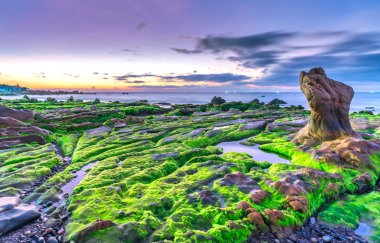 Gün doğumunda, Binh Thuan vilayetinde ünlü bir plaj olan Co Thach sahilinde yosun ve çakıl taşlarıyla kayalık sahilin manzarası. Orta Vietnam.