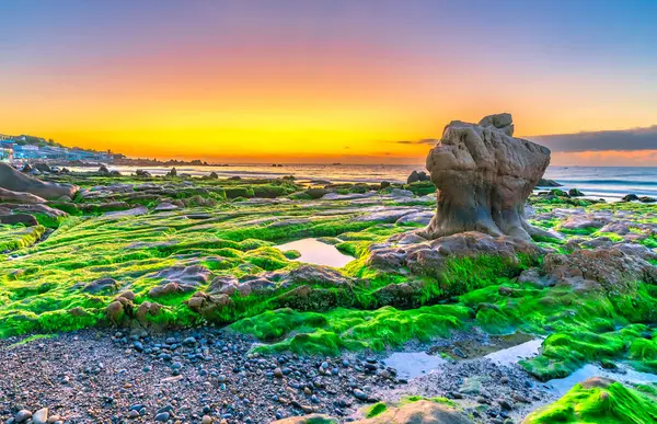 stock image Landscape of rocky beach at sunrise with moss and pebbles on Co Thach beach, a famous beach in Binh Thuan province, central Vietnam