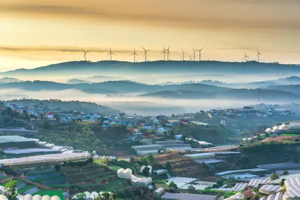 Утренний Пейзаж Долине Лат Вьетнам Покрытым Туманом Восходом Солнца Фон Лицензионные Стоковые Фото