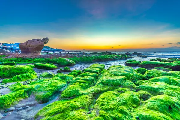 Пейзаж Скалистого Пляжа Восходе Солнца Мхом Галькой Пляже Thach Известный Стоковое Фото