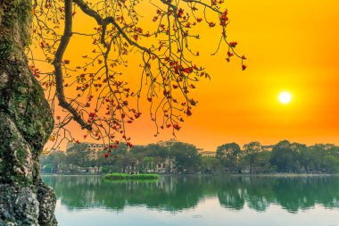 Hoan Kiem Gölü 'nde bombax ceiba dalları açıyor. Arka planda Kaplumbağa Kulesi günbatımı gökyüzü