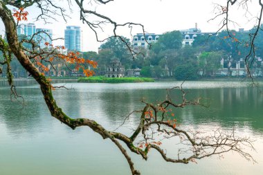 Hanoi 'nin merkezi Ho Guom Gölü' nün temelinde Kaplumbağa Kulesi ile yaprak dalları, ilkbaharda güzel bir manzara.