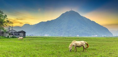 Bac Son Vadisi 'nin manzarasında Lang Son, Vietnam' daki köy dağlarında pitotis üzerinde evler var.