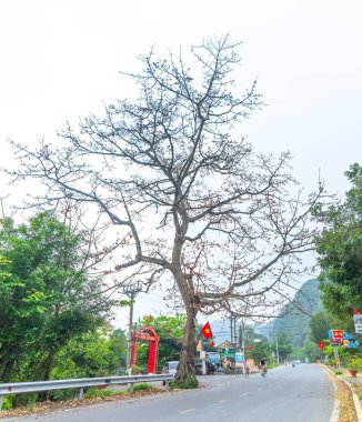 Ninh Binh, Vietnam - 5 Nisan 2024: Vu Lam Royal Trang An Scenic Peyzaj Kompleksi - Dünya Kültürel ve Doğal Mirası UNESCO tarafından tanındı
