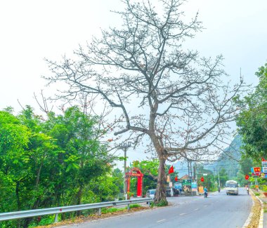 Ninh Binh, Vietnam - 5 Nisan 2024: Vu Lam Royal Trang An Scenic Peyzaj Kompleksi - Dünya Kültürel ve Doğal Mirası UNESCO tarafından tanındı