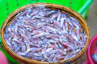 Tepside taze mürekkep balığı. Yakın plan mürekkep balığı ya da muhteşem mürekkep balığı Vietnam 'ın orta kıyısındaki bir balıkçı köyünde, deniz ürünleri pazarındaki bir tezgahta güzelce sıralanmış.