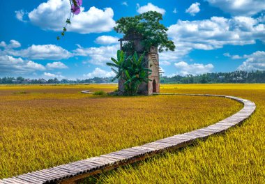 An abandoned old brick kiln in the middle of a vast field in Quang Nam, Vietnam clipart