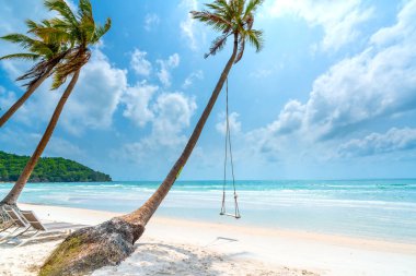 Vietnam 'ın Phu Quoc adasındaki güzel Sao kumlu sahilinde tropikal palmiyeli deniz burnu.