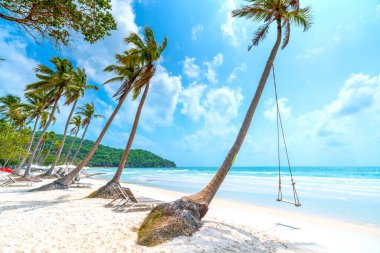 Vietnam 'ın Phu Quoc adasındaki güzel Sao kumlu sahilinde tropikal palmiyeli deniz burnu.