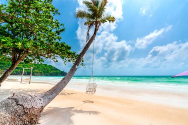 Vietnam 'ın Phu Quoc adasındaki güzel Sao kumlu sahilinde tropikal palmiyeli deniz burnu.