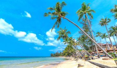 Phu Quoc Adası Vietnam 'da güzel bir sahil. Mavi suları, hindistan cevizi ağaçları ve ince kumları olan koy Tayland Körfezi 'nde güzel bir sahil olarak kabul edilir.